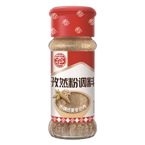 25g Cumin Powder